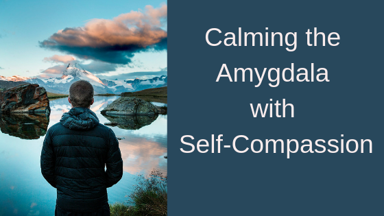 Calming the Amygdala with Self-Compassion