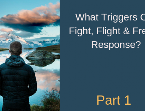 What Triggers our “Fight, Flight and Freeze” Response?