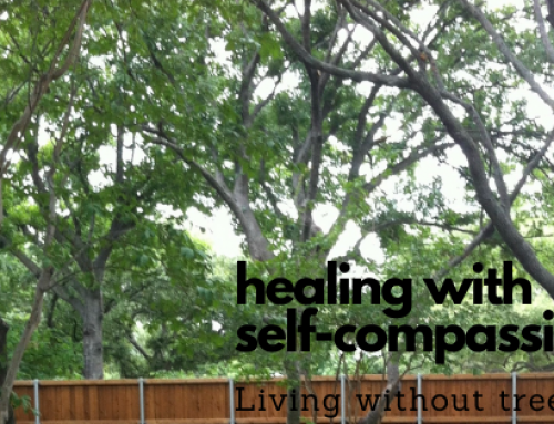 Healing with Self-Compassion (Living Without Trees)